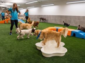 240 Devonshire Street 4208, Boston MA 02110