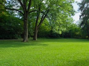 125 Lowell Street 3B, Somerville MA 02143