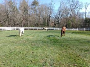 190 Hardwick, Petersham MA 01366