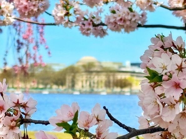 4 Charlesgate East 604, Boston MA 02215