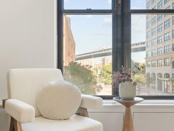 30 Main Street 3B, Brooklyn NY 11201