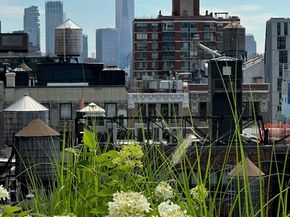 16 West 19th Street 8B, New York NY 10011