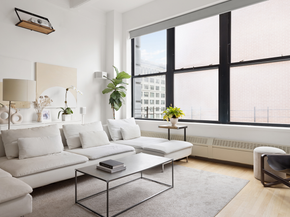 30 Main Street 9D, Brooklyn NY 11201