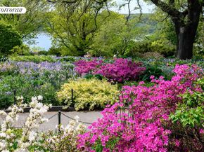 875 West 181st Street 1L, New York NY 10033