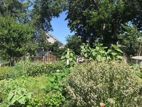 37 Rowsley Street 6, Bridgeport CT 06605