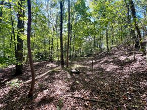 3 Noguchi Trail, Shelton CT 06484