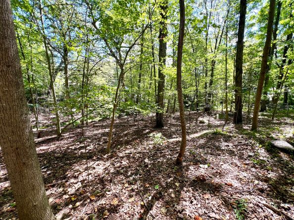 3 Noguchi Trail, Shelton CT 06484