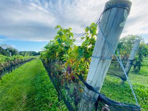 35950 Main Road, Cutchogue NY 11935