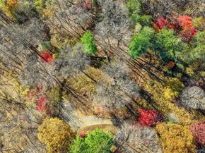 115 Old Roaring Brook Road, Mount Kisco NY 10549