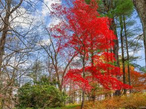 115 Old Roaring Brook Road, Mount Kisco NY 10549