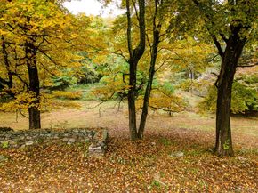 115 Old Roaring Brook Road, Mount Kisco NY 10549