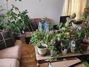 484 Beach 44th Street, Far Rockaway NY 11691