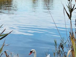 23 Wavecrest Drive, Mastic Beach NY 11951