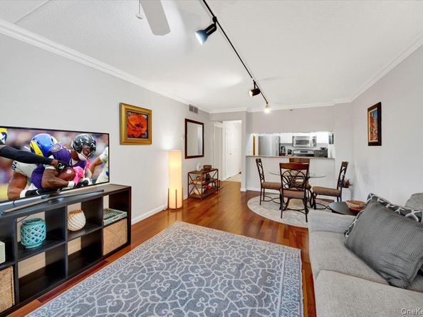 4 Martine Avenue 502, White Plains NY 10606