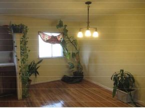 3314 Mickle, Bronx NY 10469