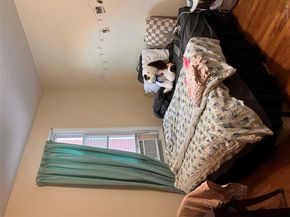 4317 53rd Street, Woodside NY 11377
