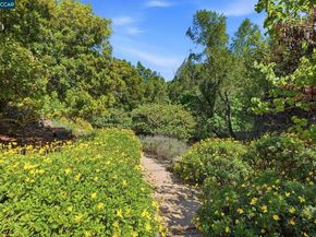45 N Merrill Circle, Moraga CA 94556