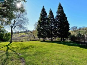 1000 Shady Creek Pl, Danville CA 94526