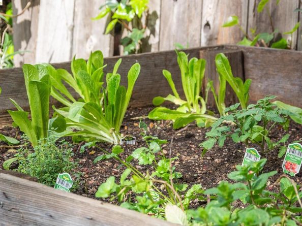 3316 Harrison St, Oakland CA 94611