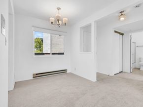 417 Evelyn Ave 205, Albany CA 94706