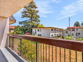 417 Evelyn Ave 205, Albany CA 94706