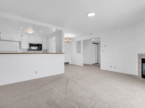 417 Evelyn Ave 205, Albany CA 94706