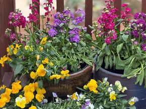 1650 Shasta St, Richmond CA 94804