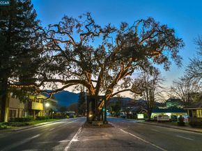 111 W Prospect Ave. 205, Danville CA 94526