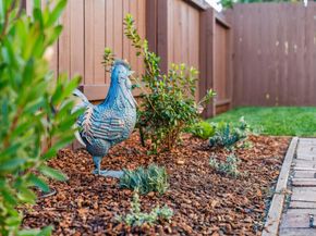 1328 Marin Ave, Albany CA 94706