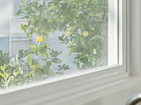 1328 Marin Ave, Albany CA 94706