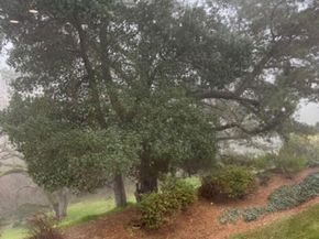 1857 Golden Rain Rd 1, Walnut Creek CA 94595