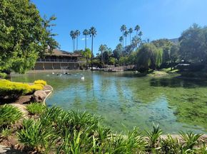 310 N Civic Dr. 315, Walnut Creek CA 94597