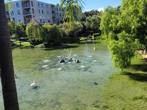 310 N Civic Dr. 315, Walnut Creek CA 94597