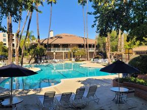 310 N Civic Dr. 315, Walnut Creek CA 94597