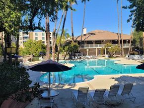 310 N Civic Dr. 315, Walnut Creek CA 94597