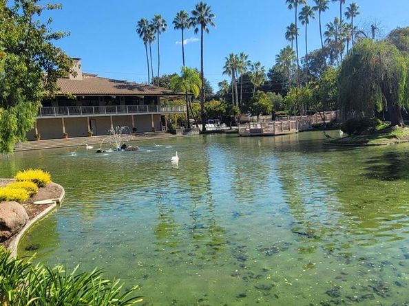 310 N Civic Dr. 315, Walnut Creek CA 94597