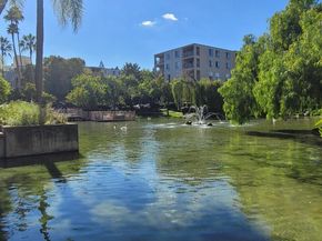 310 N Civic Dr. 315, Walnut Creek CA 94597