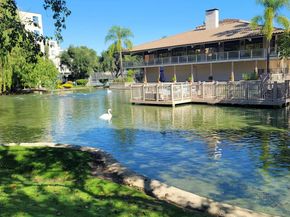 310 N Civic Dr. 315, Walnut Creek CA 94597