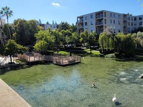 310 N Civic Dr. 315, Walnut Creek CA 94597