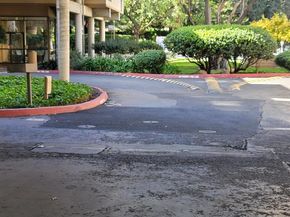 310 N Civic Dr. 315, Walnut Creek CA 94597