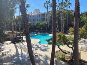 310 N Civic Dr. 315, Walnut Creek CA 94597