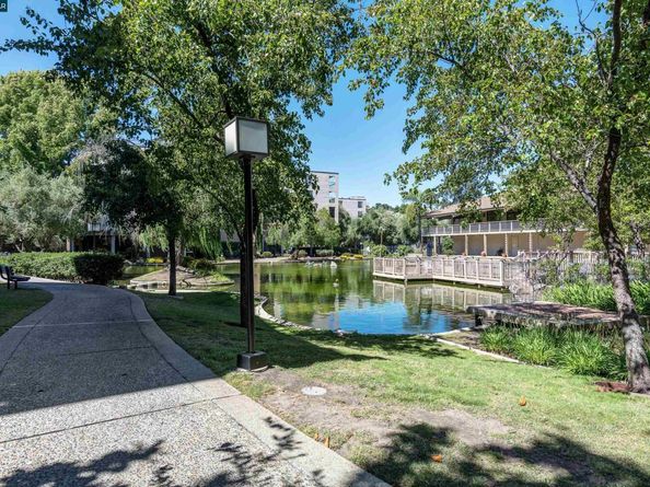 440 N Civic Dr 409, Walnut Creek CA 94596
