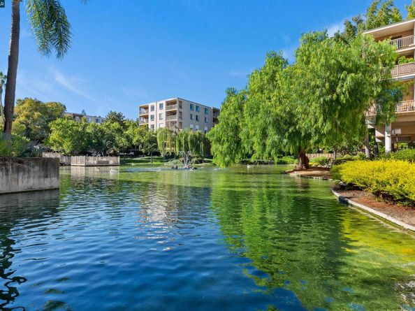 440 N Civic Dr 409, Walnut Creek CA 94596