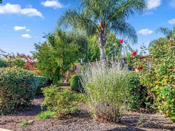 24 Alden Ct, Walnut Creek CA 94598