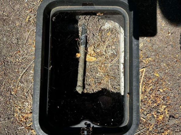 1110 Eureka Lane, Concord CA 94520