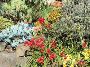 1542 Broadway, Alameda CA 94501