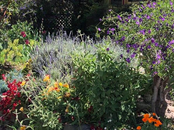 1542 Broadway, Alameda CA 94501