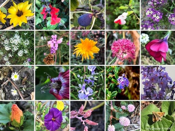 1542 Broadway, Alameda CA 94501