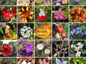 1542 Broadway, Alameda CA 94501