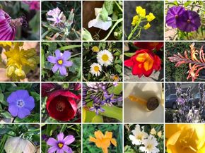 1542 Broadway, Alameda CA 94501